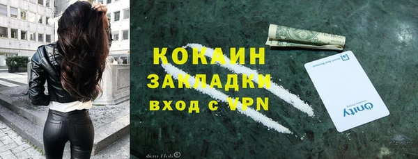 ГАЛЛЮЦИНОГЕННЫЕ ГРИБЫ Карталы