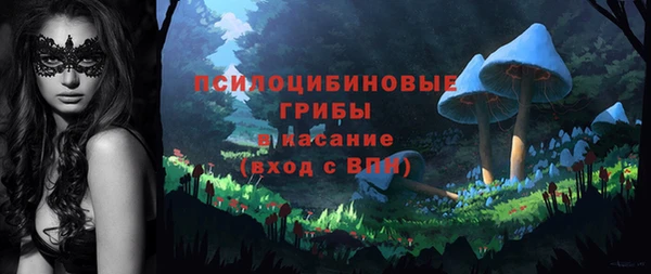 ГАЛЛЮЦИНОГЕННЫЕ ГРИБЫ Карталы