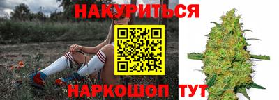 прущие грибы Рыбинск