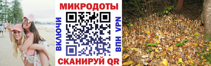 Псилоцибиновые грибы Psilocybe MEGA Невинномысск
