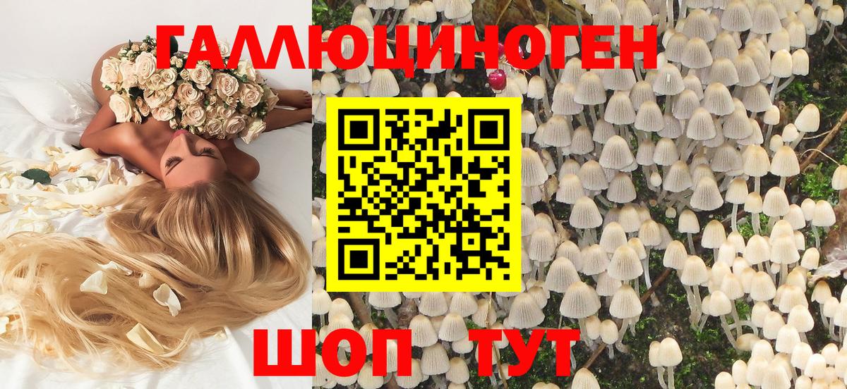 Невинномысск  Галлюциногенные грибы Psilocybe  Галлюциногенные грибы GOLDEN TEACHER  Вход с VPN 